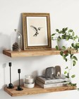 Vintage Gold Framed Hummingbird Wall Art 11x14 Aesthetic Bird Canvas Print Decor