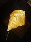 Vtg Handcrafted Clam Scallop Shell Lamp Nightlight Light Real Seashell Beach