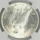  1  Bu  1 1924 Peace Silver Dollar Dripping With Luster Unc Ms 90  Bulk   Save