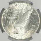  1  Bu 1924  p  Peace Silver Dollar  1 Unc Ms 90  - Dripping With Luster