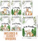 6 Woodland Hanger Dividers Baby Closet Size Dividers - Baby Essentials For   