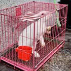 30 Pcs Large Cup Hanging Water Feed Cage Cups Poultry Gamefowl Rabbit Chicken Ha