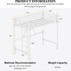 Loft Bed Twin Size With Ladder And Guardrail black