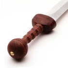 Training Gladius With Aluminum Blade