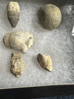 Civil War Relics Dug Up At Union Battle Line Shilo  Tn