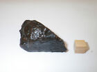 Agoudal Meteorite  Iron Iiab   Morocco  80 Grams  With 2 Shatter Cones 