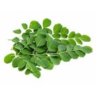 Moringa Tea Bags Organic Tea Bags  Vegan Naturally Caffeine-free Nutritious 100 