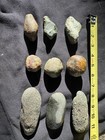 9pc Marine Fossil Nodule Set  Unprepared    Wa - Crab  Fish  Mineralized 