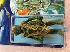 Vintage 1978 Battlestar Galactica Ovion Figure Original Package Unpunched