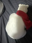 Coca Cola Polar Bear 6     Scarf Plush Arctic Coke Hard Head   Paws Cole Bottle