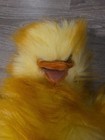 Folkmanis Funny Bird Hand Puppet Full Body Brand New 20in