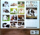 2023  puppies   Kittens  Wall Calendar     Last One  