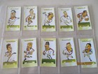 Reproduction Daily Telegraph Rugby World Cup 1995 England Full Set Of 26 Cards