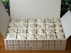 -new   In Hand- 2024 Lenox Spice Village 24 Jar Full Collection Complete Set
