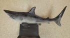 Lukitas Great White Shark Sculpture Home Decor  Retro Ocean Style Art New In Box