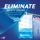 15 4 Oz Hanging Moisture Absorber  Pack Of 3  Fresh Scent