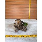 Fhchip19- Chipmunk Taxidermy Mount