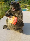 Folkmanis Groundhog Day Hand Puppet 11  Plush Stuffed Animal Toy New With Tag