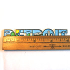 Detroit Michigan Souvenir Magnet Skyline Lake River Trolley Trees