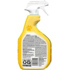 Pet Carpet Stain Remover For Urine Stains And Odors  24 Fl Oz