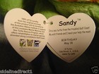 Retired Ty Beanie Baby Babies Boos Sandy The Sea Turtle 1st New Mint Tag Rare