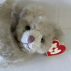 Ty Cuzzy Bear Sally Winey Cream Plush Jointed 13 Inches Tall Retired Collectible