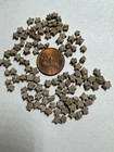 Wholesale Lot Of 100 Mini Fossil Star Crinoid Stems