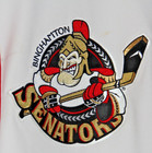 Official Reebok Ccm Practice Jersey - Binghamton Senators Ahl Hockey W Game Puck