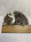 Vintage Sleeping Kitty Small Real Rabbit Fur Approx 5  Lifelike Miniature Cat