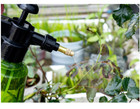 1 2 Gallon Handheld Garden Pump Sprayer  Garden Pressure Water Spray Bottle Usa