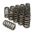 16x Drop-in Beehive Valve Spring Kit Pac-1218 For Gm Ls Engines 600  Lift Rated