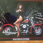Vintage Harley Davidson 1989 Fhsts Springer Hot Woman 34    22 Poster