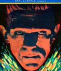 Frankenstein  1931  Insert 14 x36  First Release Universal Monster Movie Poster 
