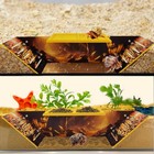Hermit Crab Underground Tunnel Cave hermit Crab Tank Accessories Hideout   Hi   