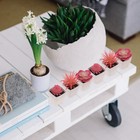 Woration 6pcs Mini Artificial Succulent Plants Fake Plastic Succulents Potted Fo