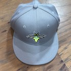Columbia Fireflies Hat Cap Mens 7 1 8 Gray Milb Baseball New Era Fitted 59fifty