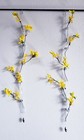 New 2 Hanging Glass 5 Tubes Flower Planter Vase