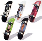 Tech Deck Ultra Pro Bonus 20-pack Plan B Toy Machine Felipe Gustavo Sky Brown