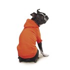 Zack And Zoey Large Basic Hoodie Dogs Vibrant Orange 20x17x28 In Boxer Labrador
