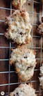 Homemade Coconut Cream Cheese Chocolate Chip Cookies Fresh 1 Pound