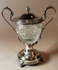Belgian 800 Silver Cut Crystal Lined Mustard Castor C  1835   coin Silver Spoon 