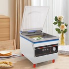 Dz- 320 Electric Vacuum Packing Machine Chamber Sealer Packing Machine 800w