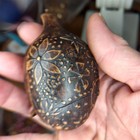 Vintage Hand-carved   Etched Gourd Quail Folk Art Bird Figurine