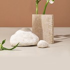  Pipe Reed Guan Zi Mouthpiece Reeds Chinese Wind Instrument Parts