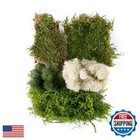Supermoss  23300  Moss Mix     Premium Decorative Moss For Crafts  Terrariums  