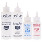 Salon Styles Home Perm The Original - For Color Treated  Normal Hair - 1 Appl   