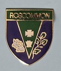 Vintage County Roscommon Ireland Coat Of Arms Pin Used
