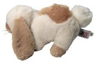 Ganz Webkinz Holland Lop Bunny Plush Stuffed Animal Retired 2007 No Code