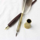 12 Piece Calligraphy Feather Pen Set With Inks And Replacement Nibs