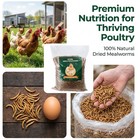 10 20 30lbs Bulk Dried Mealworms For Wild Birds Chickens Fish Treats Food New